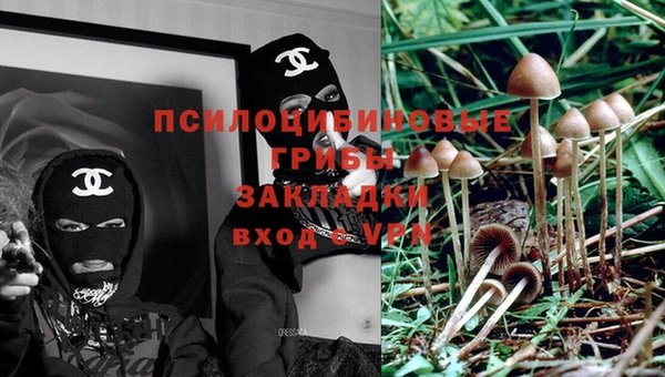 мдпв Россошь