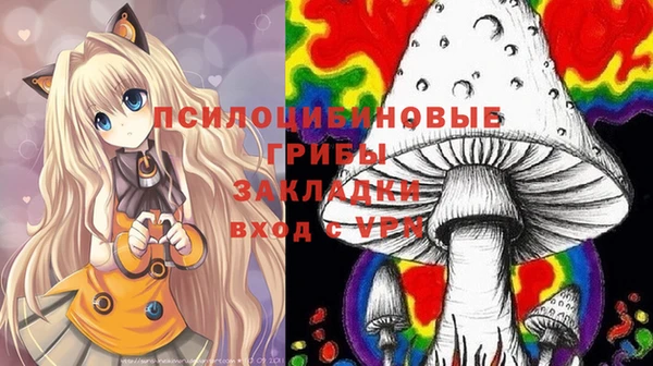 спиды Алексин